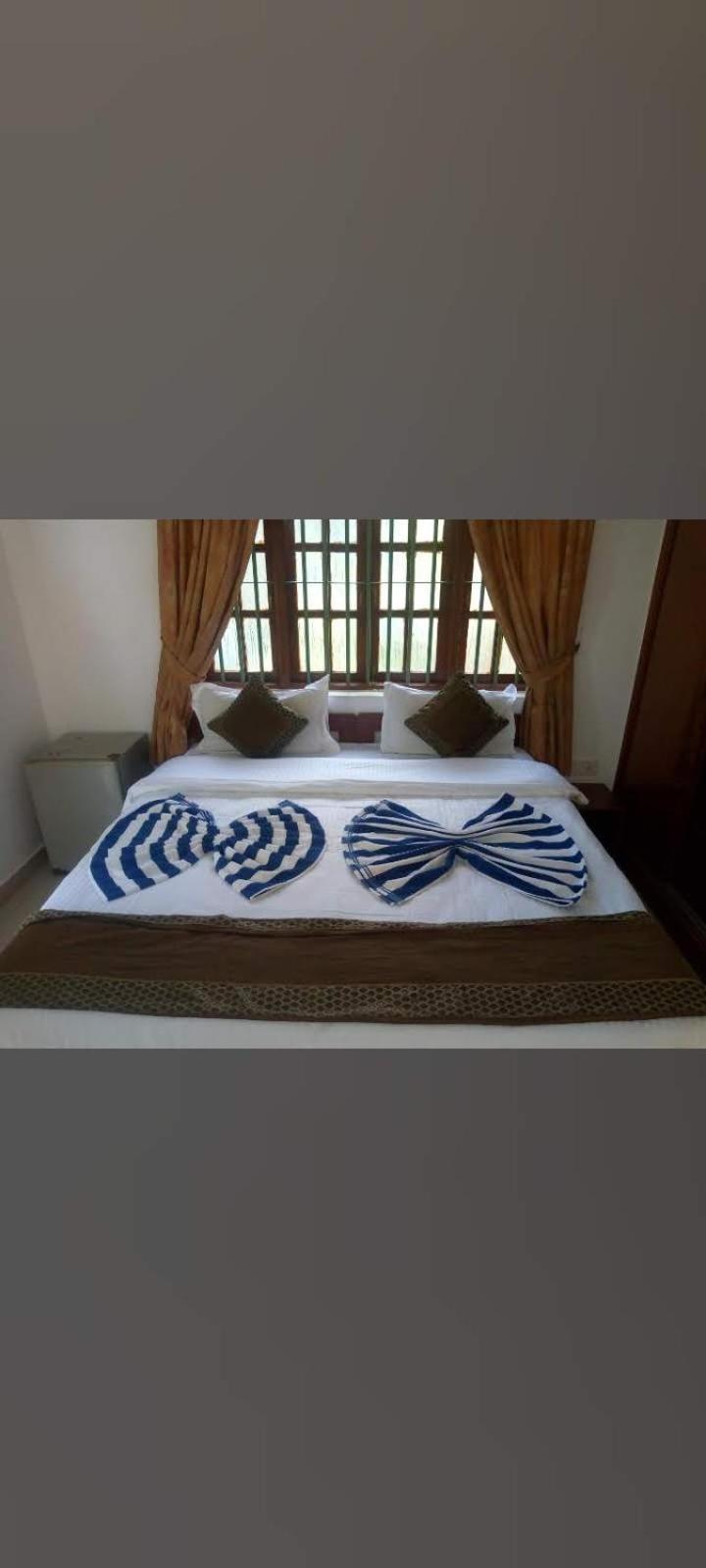 Pebbles Guesthouse アンジュナ エクステリア 写真